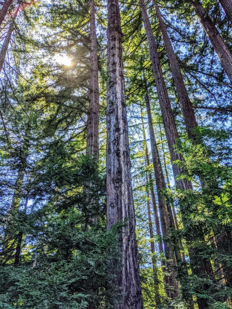 https://media.crmls.org/mediaz/de73c218-e49e-4072-86f8-e368ac456884.jpg?preset=X-Large