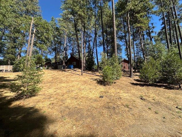 MLS #219134065DA image #10