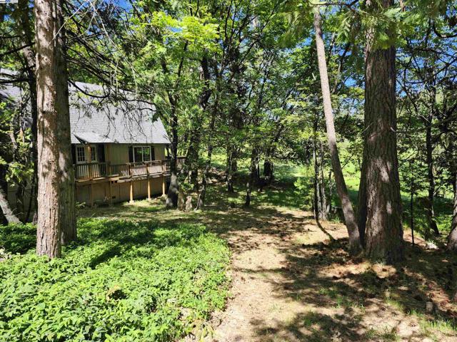 23875 Marshall Way, Twain Harte CA: https://media.crmls.org/mediaz/de77b9cf-97e3-4830-8d82-5239efff40fc.jpg