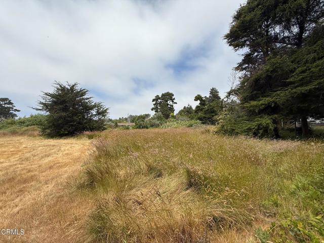 18391 Old Coast Highway, Fort Bragg CA: https://media.crmls.org/mediaz/de7c30a1-a922-4fdc-9097-835176692ea8.jpg