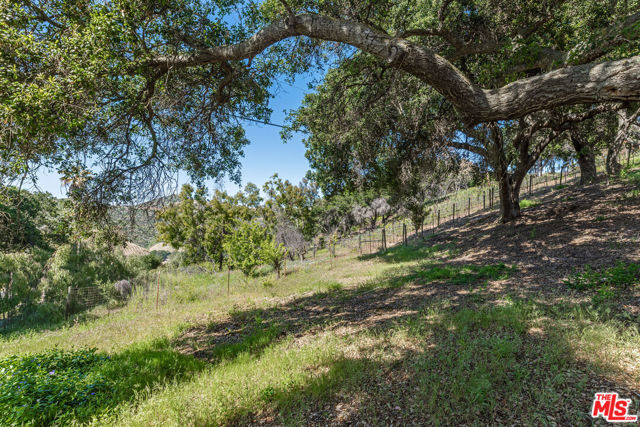 29300 Newton Canyon Road photo 8