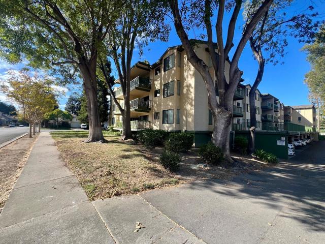 38780 Tyson Lane, Fremont CA: https://media.crmls.org/mediaz/de823e7b-f344-4d23-8d60-cabd11a945bf.jpg