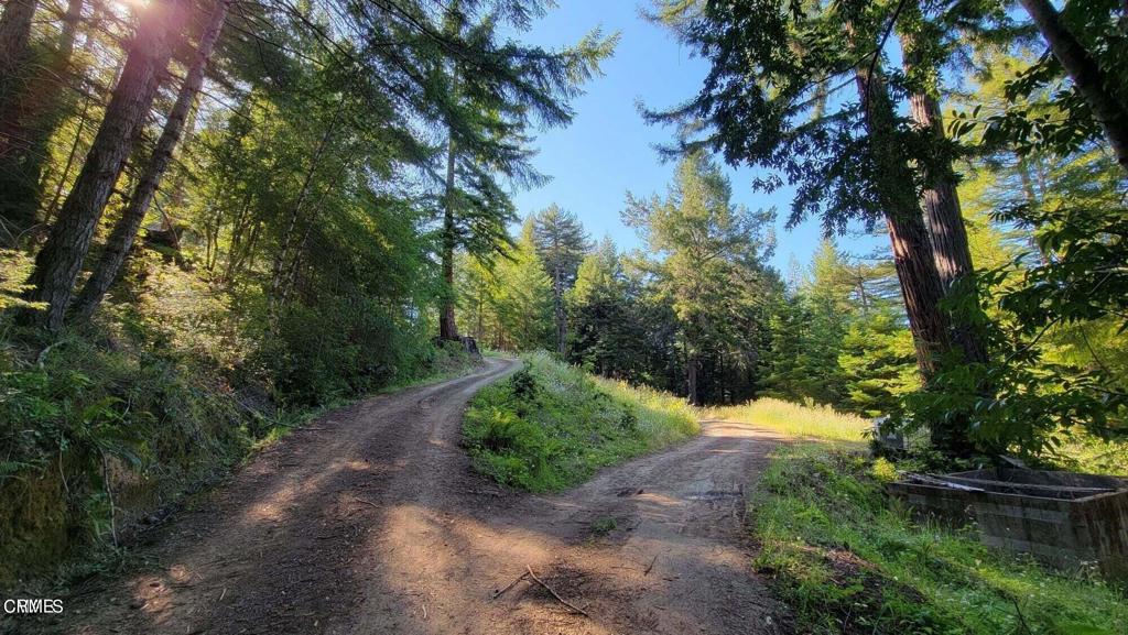 7700 Flynn Creek Road, Comptche, CA 95427