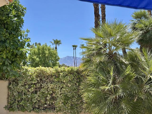 212 S Kavenish Drive, Rancho Mirage CA: https://media.crmls.org/mediaz/de8cc916-e288-478f-b253-3a5e7acdc142.jpg
