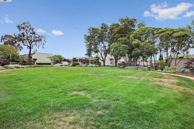 1105 Fontana Dr, Alameda CA: https://media.crmls.org/mediaz/de8ddcbe-d040-4998-b601-ac9723d3c552.jpg