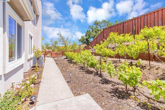 548 Wycombe Ct, San Ramon CA: https://media.crmls.org/mediaz/de947e10-ad1b-4ff3-870b-4cd80c0f2e78.jpg
