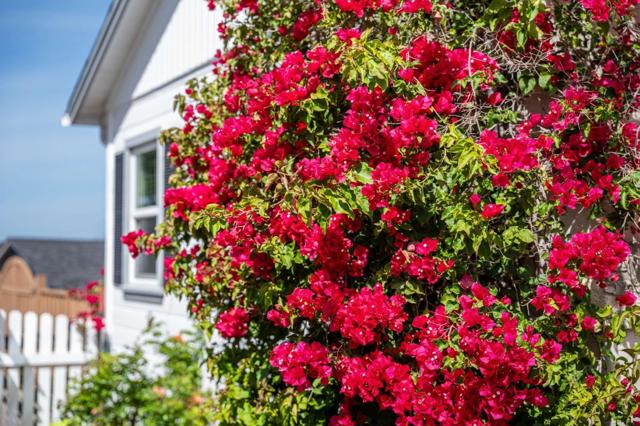 1 Serrano Way, Del Rey Oaks CA: https://media.crmls.org/mediaz/de95ece0-5a50-4595-967f-381de6bb70c2.jpg