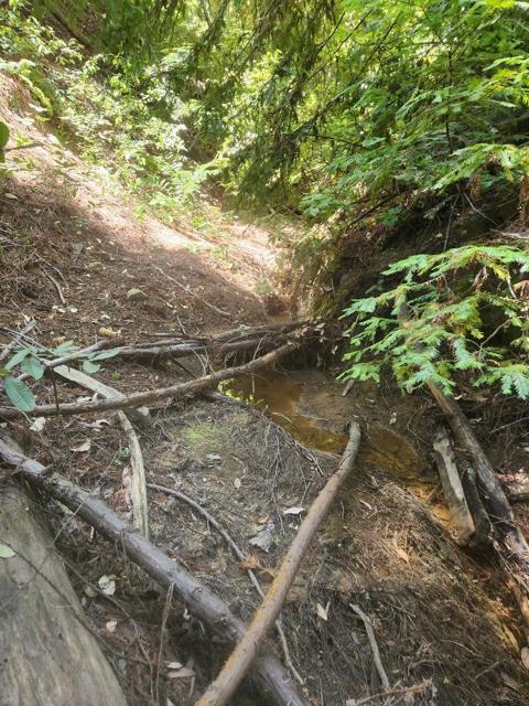 0 Lost Valley, Los Gatos CA: https://media.crmls.org/mediaz/de96d684-20a6-43c0-91c3-a5e1a216c8b5.jpg