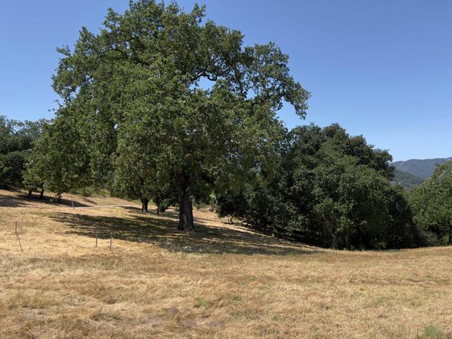 23 E Pronghorn Run, Carmel CA: https://media.crmls.org/mediaz/de9800b8-0a38-43cb-8ef4-29df176a0c9e.jpg