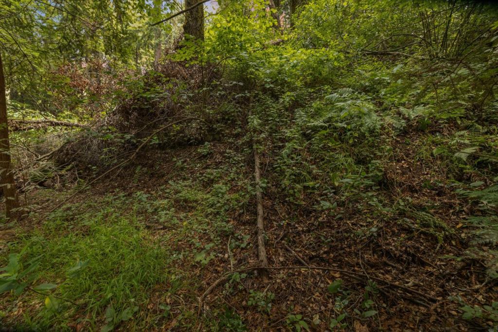 MLS #ML82011292 image #9