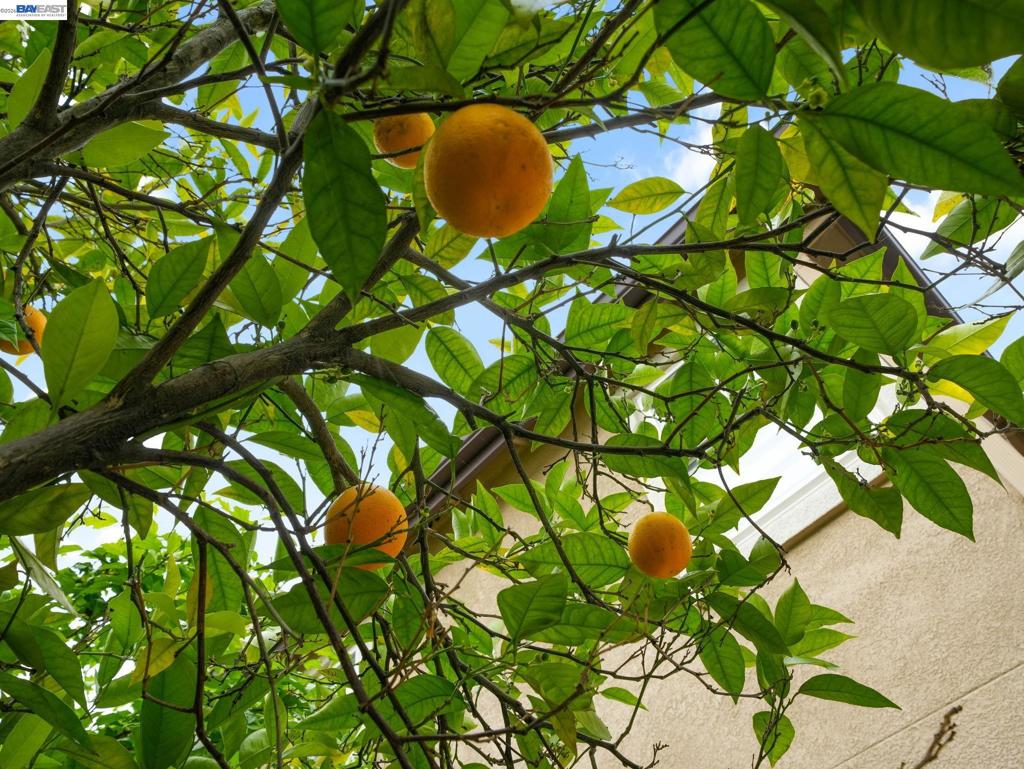 https://media.crmls.org/mediaz/dea6f83e-bfe7-4e04-a42c-dcdb533bfb03.jpg?preset=X-Large
