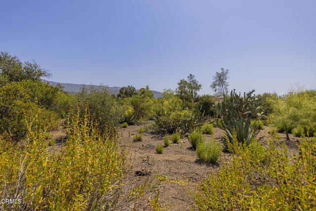 Detail Gallery Image 2 of 13 For 1 Henderson Rd, Ojai,  CA 93023 - – Beds | – Baths