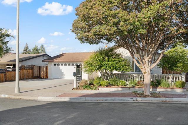 788 Mayten Tree Court, Sunnyvale CA: https://media.crmls.org/mediaz/deb81a43-c3b7-488e-a9fc-780834eb4e5c.jpg