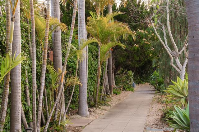 1010 Myrtle Way, San Diego CA: https://media.crmls.org/mediaz/deba794d-55cd-4fc6-9667-d53dd98b67ae.jpg