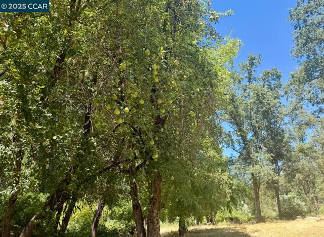 4578 Pretty Good Rd, Placerville CA: https://media.crmls.org/mediaz/debbab8e-1551-472c-91f8-2ef335c13ac9.jpg