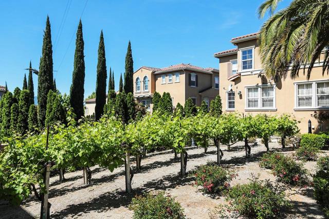 585 Adeline Avenue, San Jose CA: https://media.crmls.org/mediaz/dec94db5-b7fc-4c2a-ad13-ac762ddb92ca.jpg