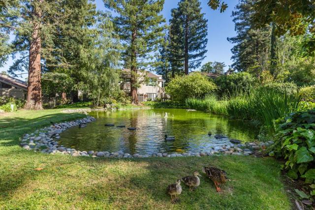 19414 Vineyard Lane, Saratoga CA: https://media.crmls.org/mediaz/deca895d-3149-455a-9807-440b607a7aa8.jpg