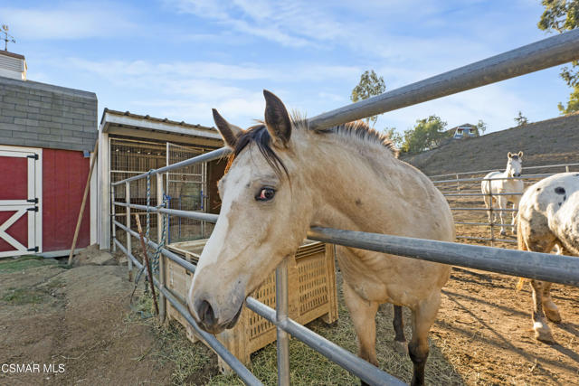 6417 Turfway Road, Moorpark CA: https://media.crmls.org/mediaz/dece2f5f-75cd-4dca-9df5-76577c4c2b07.jpg
