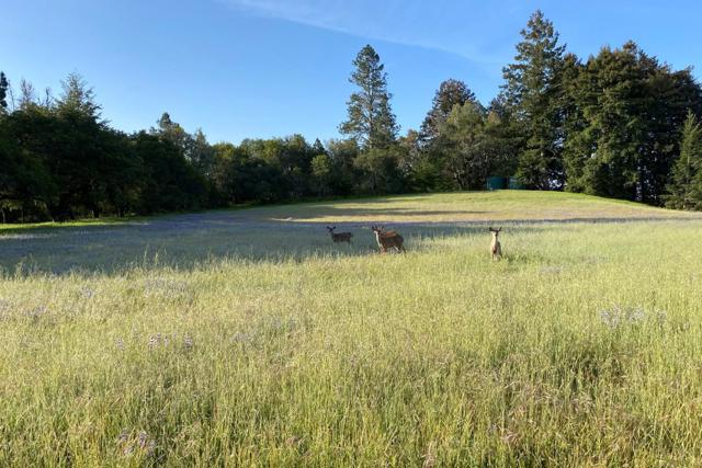 3980 Bonny Doon Road, Santa Cruz CA: https://media.crmls.org/mediaz/dedb564d-f4b0-40e9-8998-d6ed9fbf652b.jpg