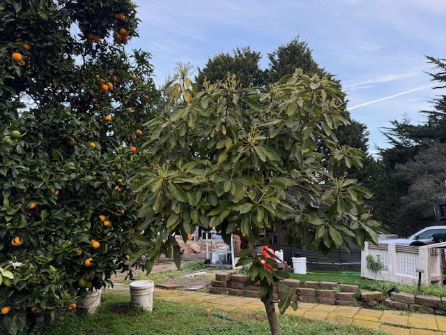 Image 16 of 31 For 18171 Berta Canyon Road