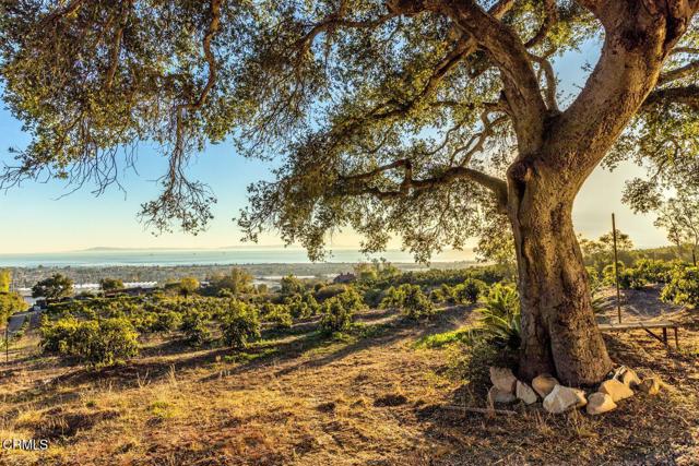 4488 Foothill Road, Carpinteria CA: https://media.crmls.org/mediaz/def08be1-1685-4dbc-a9bb-4d478951f988.jpg