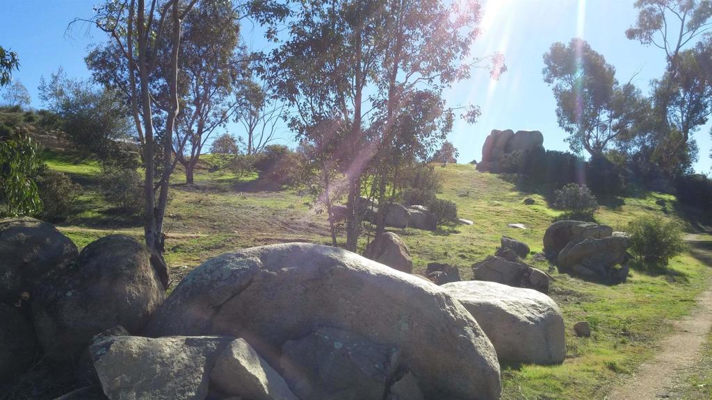 MLS #250037625SD image #20