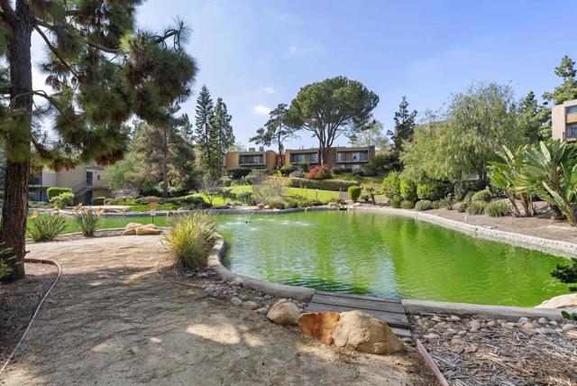 Detail Gallery Image 22 of 27 For 5700 Baltimore Dr #66,  La Mesa,  CA 91942 - 1 Beds | 1 Baths