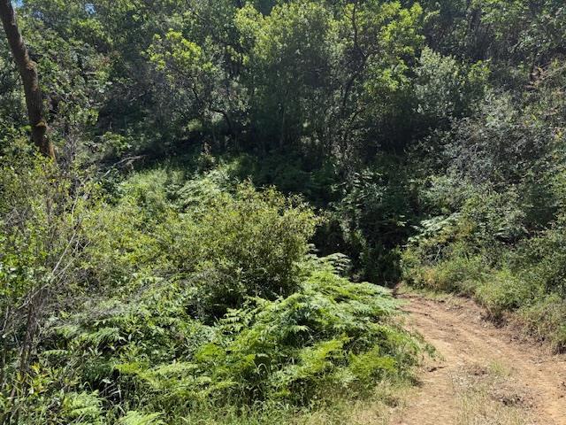14056 Uvas Road, Morgan Hill CA: https://media.crmls.org/mediaz/defee10a-d5d5-468e-b1ac-6609c663a2b6.jpg
