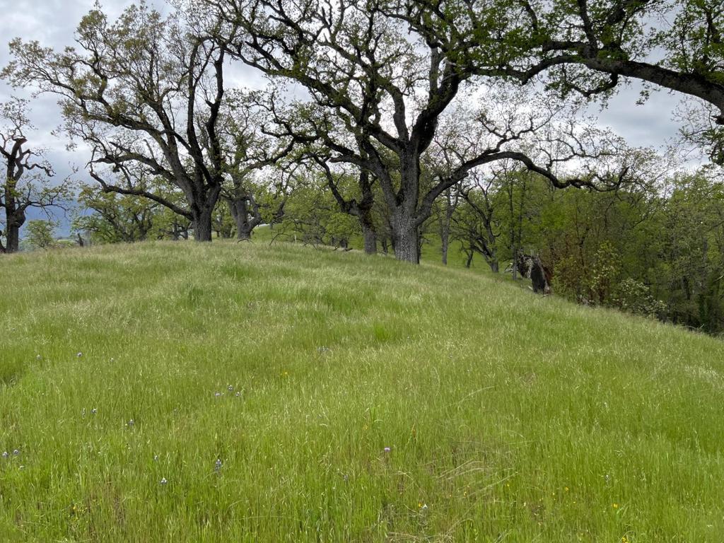 MLS #ML82007500 image #7