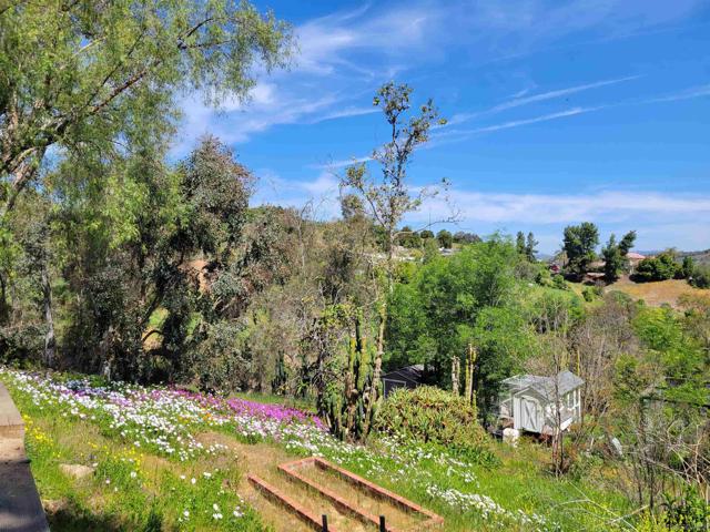 9740 Nutby Ln, Escondido CA: https://media.crmls.org/mediaz/df0c106f-b10b-412f-9dba-c347d907d698.jpg