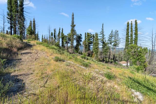 1410 Pinecrest Drive, Boulder Creek CA: https://media.crmls.org/mediaz/df13769a-2d07-44c9-b9bc-9716f6f77aea.jpg