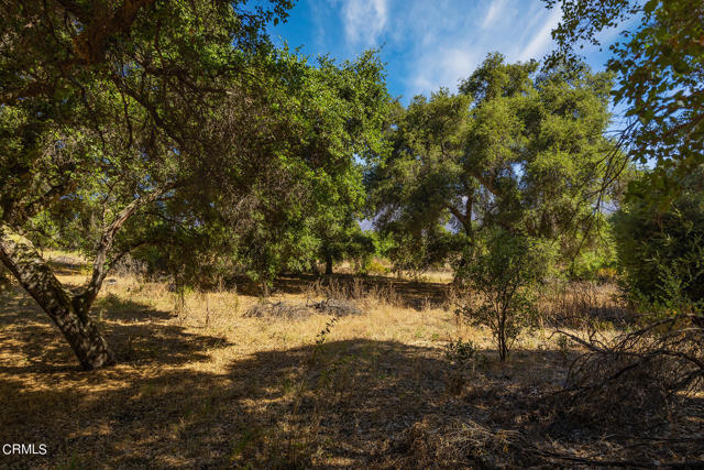 Detail Gallery Image 21 of 22 For 10331 Sulphur Mountain Rd, Ojai,  CA 93023 - – Beds | – Baths