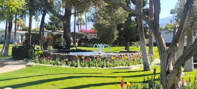 WATER FEATURE