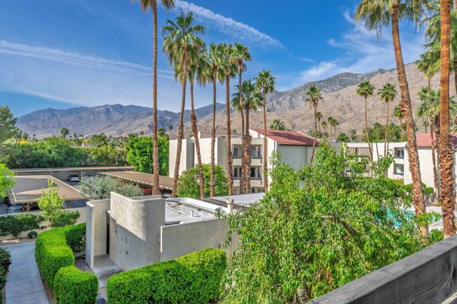 1552 S Camino Real, Palm Springs CA: https://media.crmls.org/mediaz/df236e1c-e903-4619-9bef-8eced4b7216b.jpg