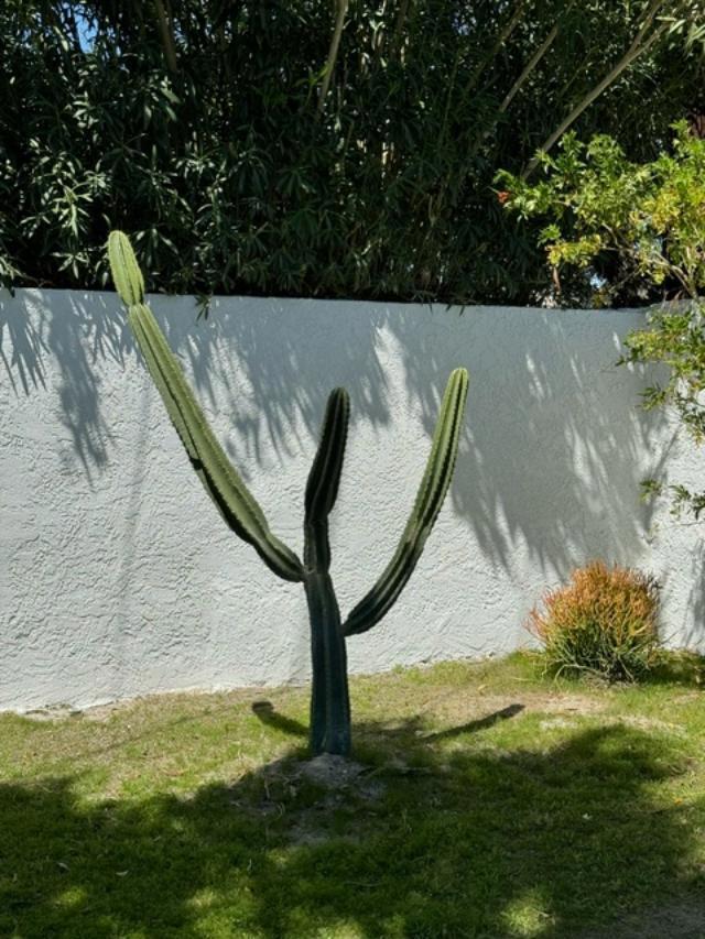 https://media.crmls.org/mediaz/df269faa-464c-472e-b6f4-839c558e18c8.jpg?preset=X-Large