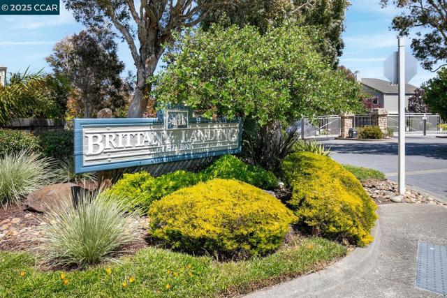 23 Shepardson Ln, Alameda CA: https://media.crmls.org/mediaz/df27a949-502c-4180-89a4-8415537f7120.jpg