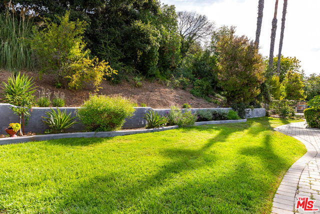Grassy yard