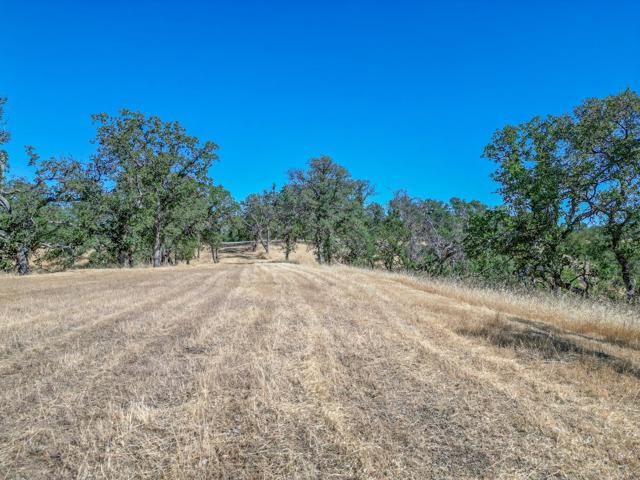 0 Wood Duck Pass Road, Red Bluff CA: https://media.crmls.org/mediaz/df339717-b35e-4d03-af87-b3fa0ca4b0a0.jpg
