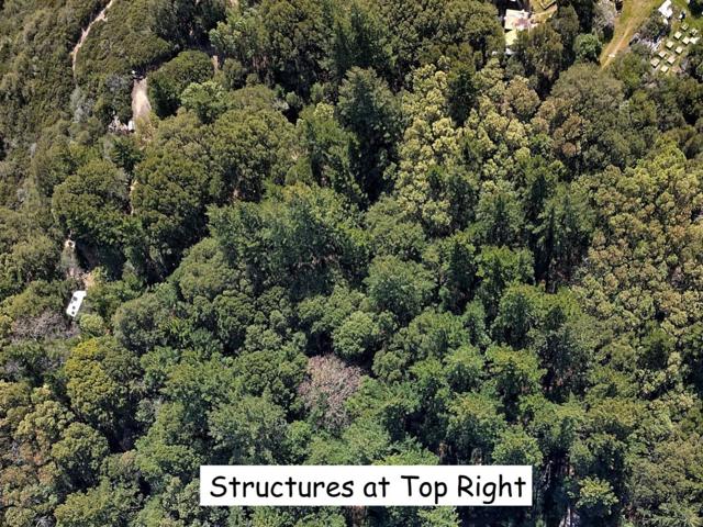 12500 Fox Run, Los Gatos CA: https://media.crmls.org/mediaz/df3d17a7-1fd6-4a49-bae7-21a16a82692b.jpg