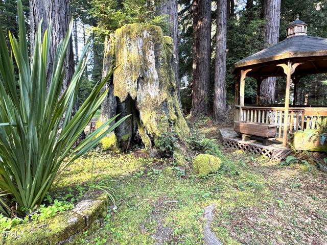 Detail Gallery Image 32 of 44 For 12141 Pinewood Rd, Mendocino,  CA 95460 - 3 Beds | 2 Baths