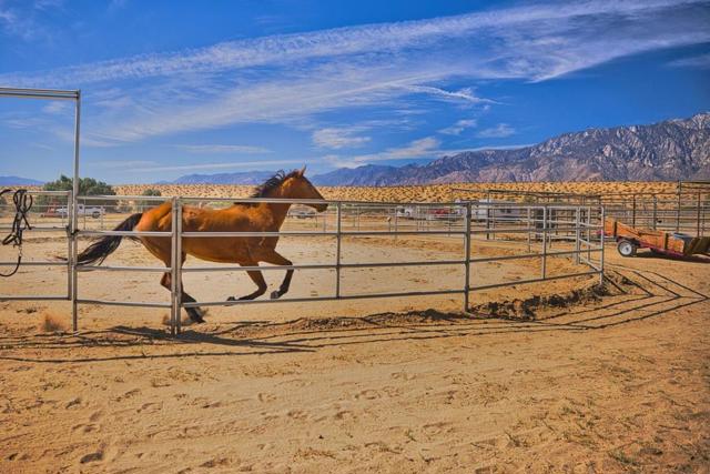 Image 1 of 49 For 20555 Mountain View Road