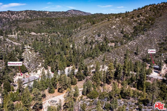 Listing photo id 22 for 0 Angeles Crest Highway