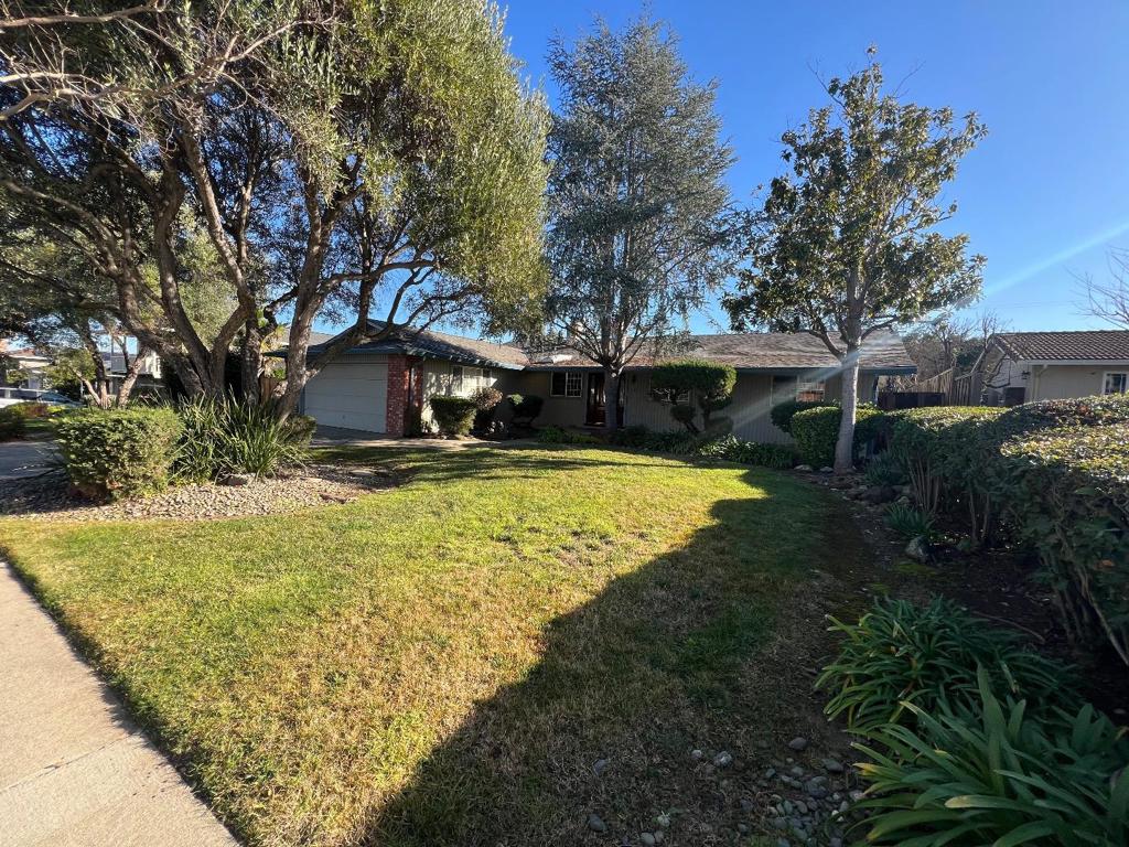 6484 Camelia Drive