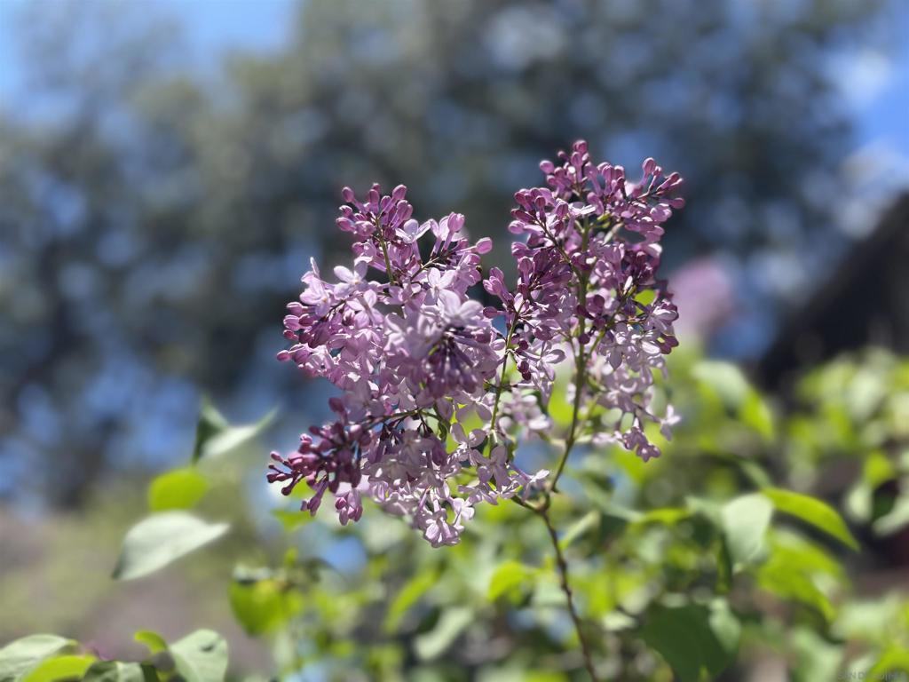 https://media.crmls.org/mediaz/df5e06d0-7fdc-42b1-938e-cfa5b8e48b4a.jpg?preset=X-Large