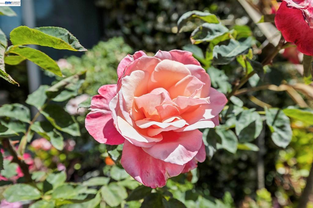 https://media.crmls.org/mediaz/df5e415b-43df-4b25-8eee-4c4e872f390b.jpg?preset=X-Large