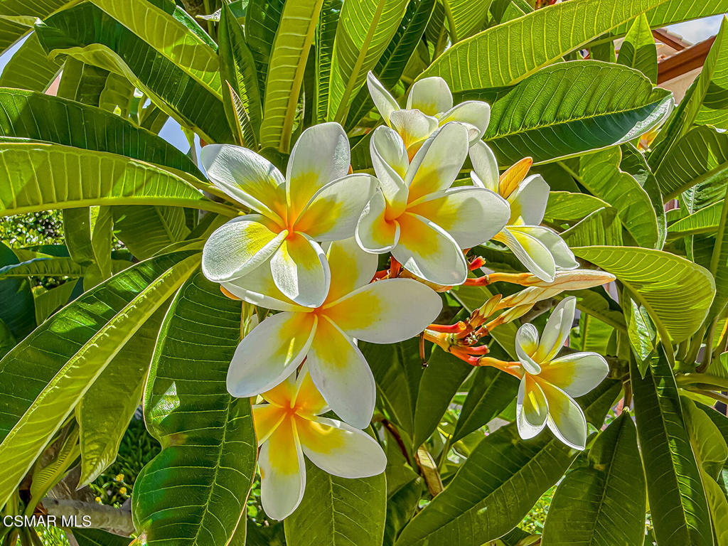 https://media.crmls.org/mediaz/df63f677-fca7-4e6e-8417-915c04d97c67.jpg?preset=X-Large