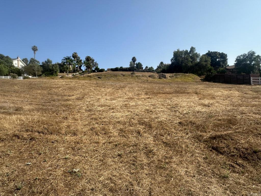 3009 Reed Rd. - photo 3