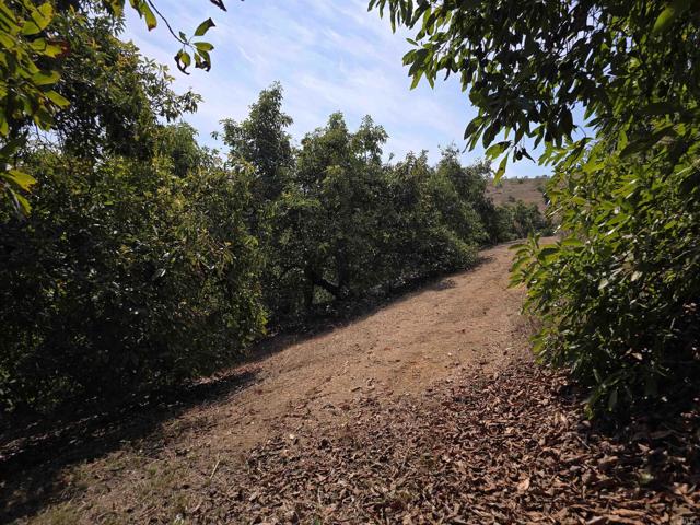 Detail Gallery Image 8 of 32 For 0 Couser Canyon Rd, Valley Center,  CA 92082 - – Beds | – Baths