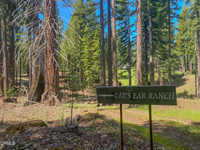 Detail Gallery Image 16 of 49 For 13740 Peregrine Rd, Boonville,  CA 95415 - – Beds | – Baths