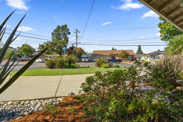 14802 Cole Drive, San Jose CA: https://media.crmls.org/mediaz/df7bc8f9-5604-4231-89b6-49e19b81a13b.jpg